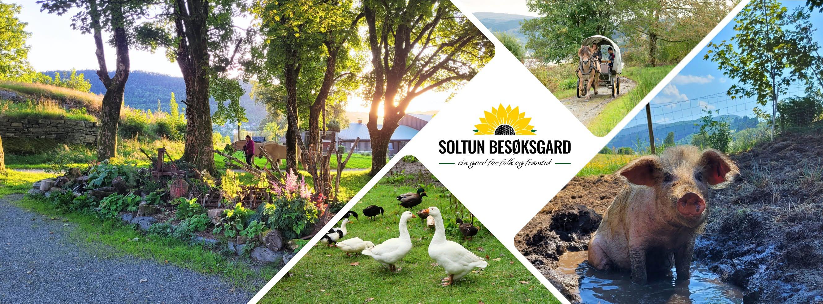 Soltun besøksgård